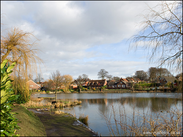 Old Hall Drive pond