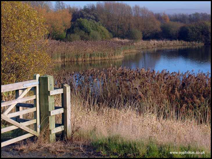 Pennington Flash