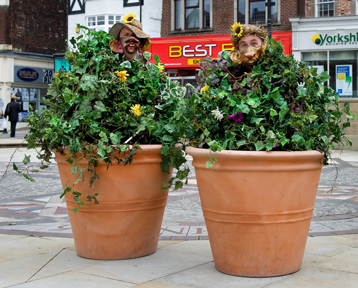 Plant Pots