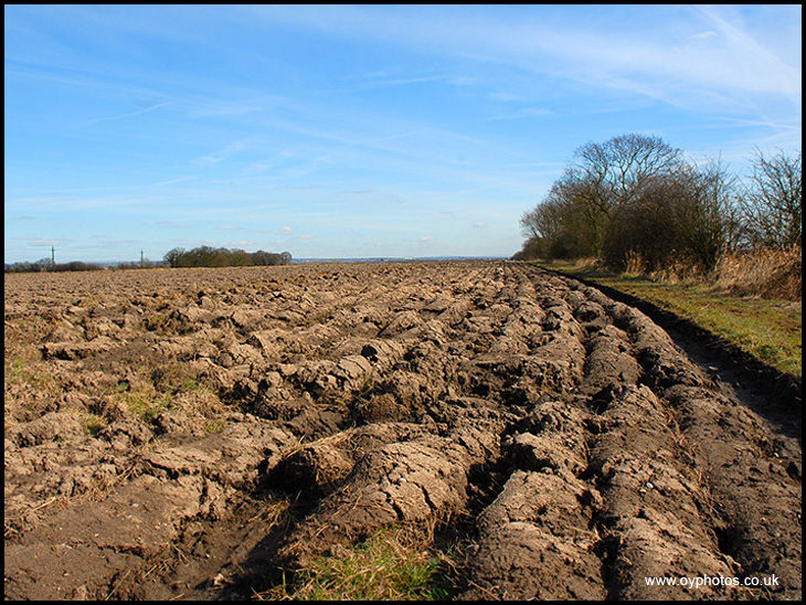 Ploughed