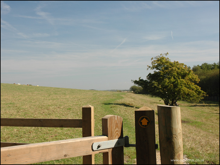 Footpath at Three Sisters