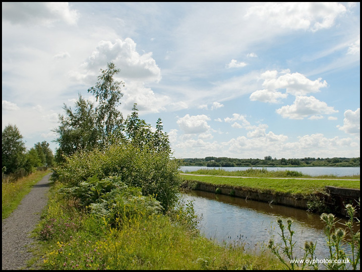 Wigan Flashes