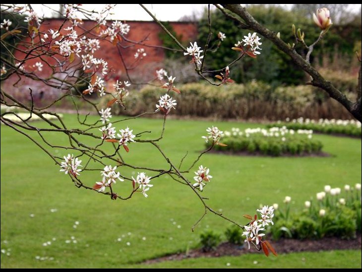 The walled gardens at Haigh Hall