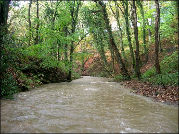 Borsdane Brook