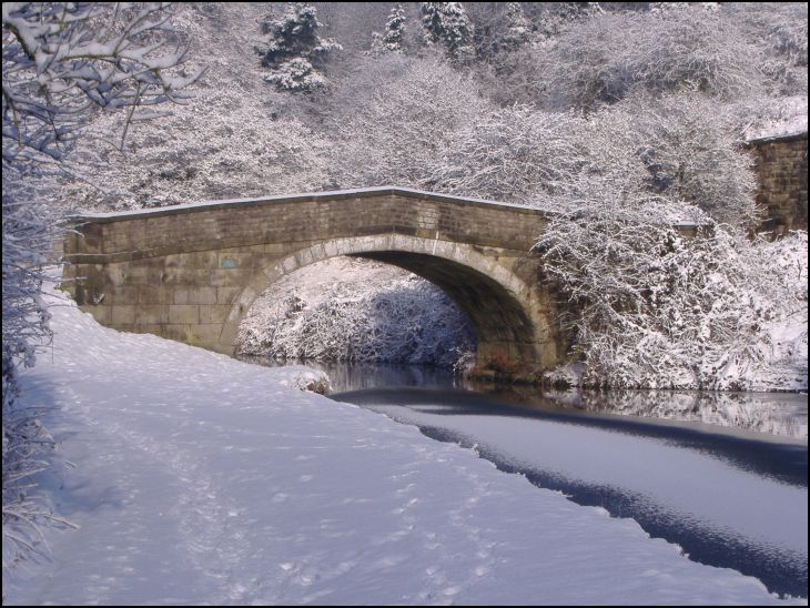 Canal in Winter