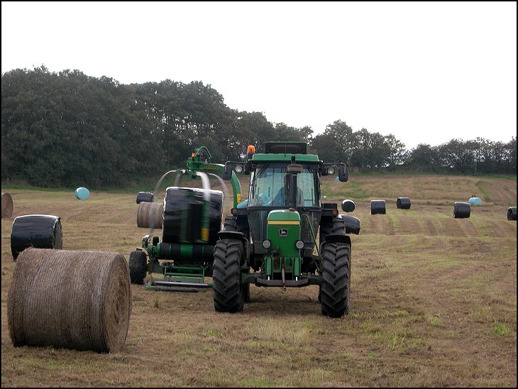 Haymaking