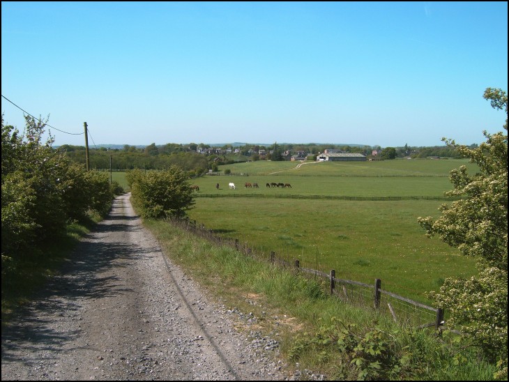 Sennicar Lane