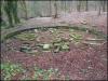 Stone Circle