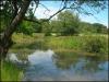 Mowpin Pool, Aspull