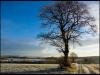 View near Worthington Reservoirs.