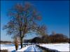 Path from Winstanley Woods to Orrell