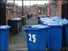 Bin Day