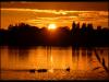 Beautiful sunset