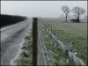 Icy barbed wire