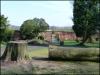 Felled Tree in the Walled Gardens