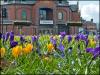 Market Hall Entrance and Croci