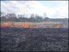 Grass fire