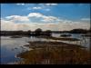 Pennington flash