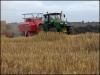 Hic Bibi Harvest