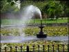 Windy Day at Haigh Hall