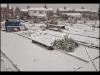 Allotment In Snow