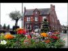 Shevington in Bloom