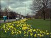 Follow yellow Haigh Road