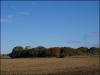 Hermitage woods, Standish