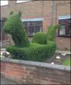 Topiary