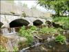 Canal Weir