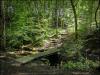 Bridge over the Yellow Brook