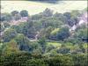 View of Parbold