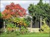 Aspull back yard