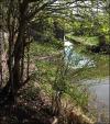 Shedfield bridge 