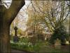 Spring at St Wilfrid’s
