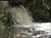 By the Waterfall