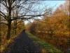 Walking to Haigh Hall