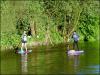 Paddle Boarders