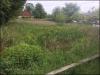 Wildflower sanctuary, Standish