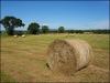 Hay Bales