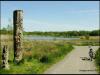 Amberswood Lake