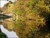 Gathurst Bridge Reflection