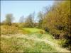 Ollerton's farm pond