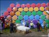 Rainbow Bales