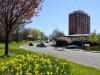 Greenough Street