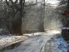 New Road, Haigh