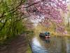 Blossom