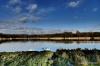 Amberswood Lake