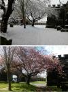 In Spring and Winter