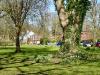 Marylebone Park